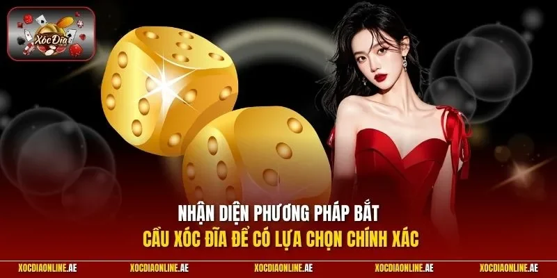 Nhận diện phương pháp bắt cầu xóc đĩa để có lựa chọn chính xác