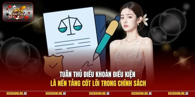 Tuân thủ điều khoản điều kiện là nền tảng cốt lõi trong chính sách